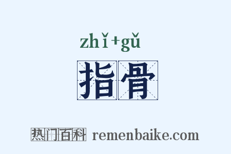 指骨是什么意思的图片